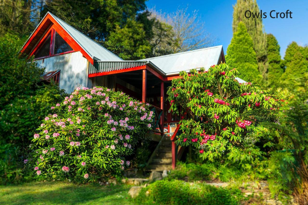 Observatory Cottages Mount Dandenong Exterior photo