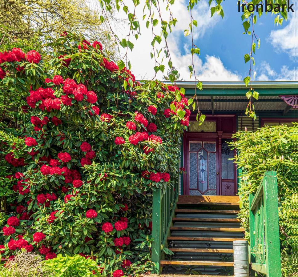 Observatory Cottages Mount Dandenong Exterior photo